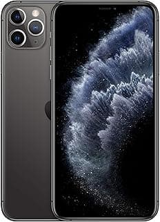 Apple iPhone 11 Pro Max (64 GB) - Rymdgrå (Renoverad)