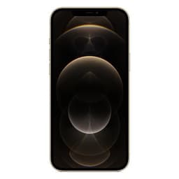 Apple iPhone 12 Pro Max 256GB gold