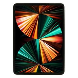 Apple iPad Pro 11" Wi-Fi + Cellular 2021 1TB silber