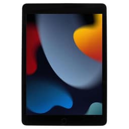 Apple iPad 2021 Wi-Fi 64GB space grau