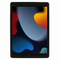 Apple iPad 2021 Wi-Fi + Cellular 64GB space grau