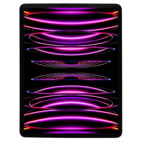 Apple iPad Pro 12,9" Wi-Fi + Cellular 2022 256GB space grau