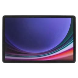 Samsung Galaxy Tab S9 (SM-X716) 5G 256GB graphite