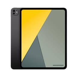 Apple iPad Pro 13" Wi-Fi + Cellular 2025 (M5) 256GB space schwarz