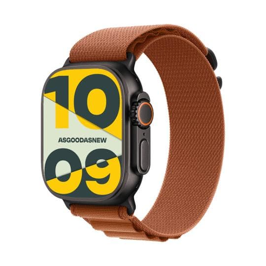Apple Watch Ultra 3 GPS + Cellular 49mm Titan schwarz Alpine Loop terracotta L