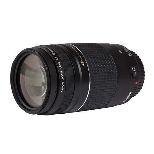 Canon Objektiv EF 75-300mm f/4-5.6 III USM Standard f/4-5.6