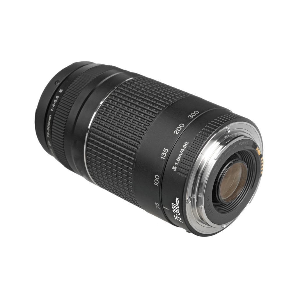 Canon Objektiv EF 75-300mm f/4-5.6 III USM Standard f/4-5.6
