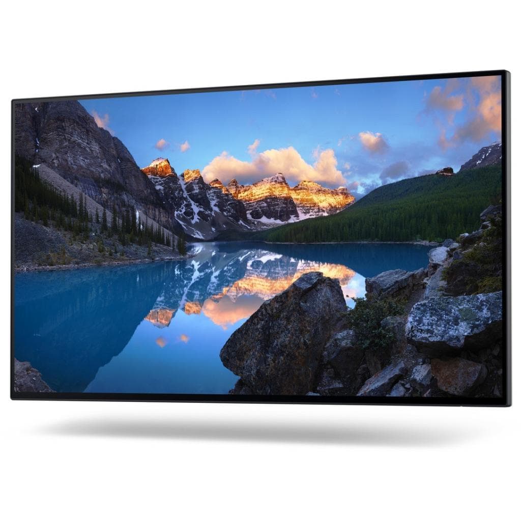 Bildschirm 23" LCD FHD DELL-U2422H