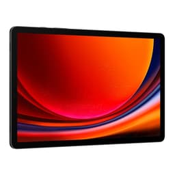 Galaxy Tab S9 256GB - Grau - WLAN