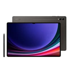 Galaxy Tab S9 256GB - Grau - WLAN