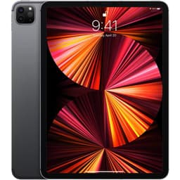 iPad Pro 11" (2021) 5. Generation 128 GB - WLAN - Space Grau
