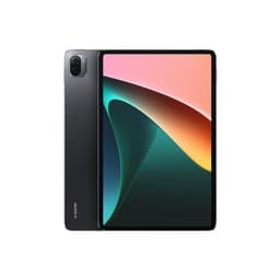 Xiaomi Pad 5 256GB - Grau - WLAN