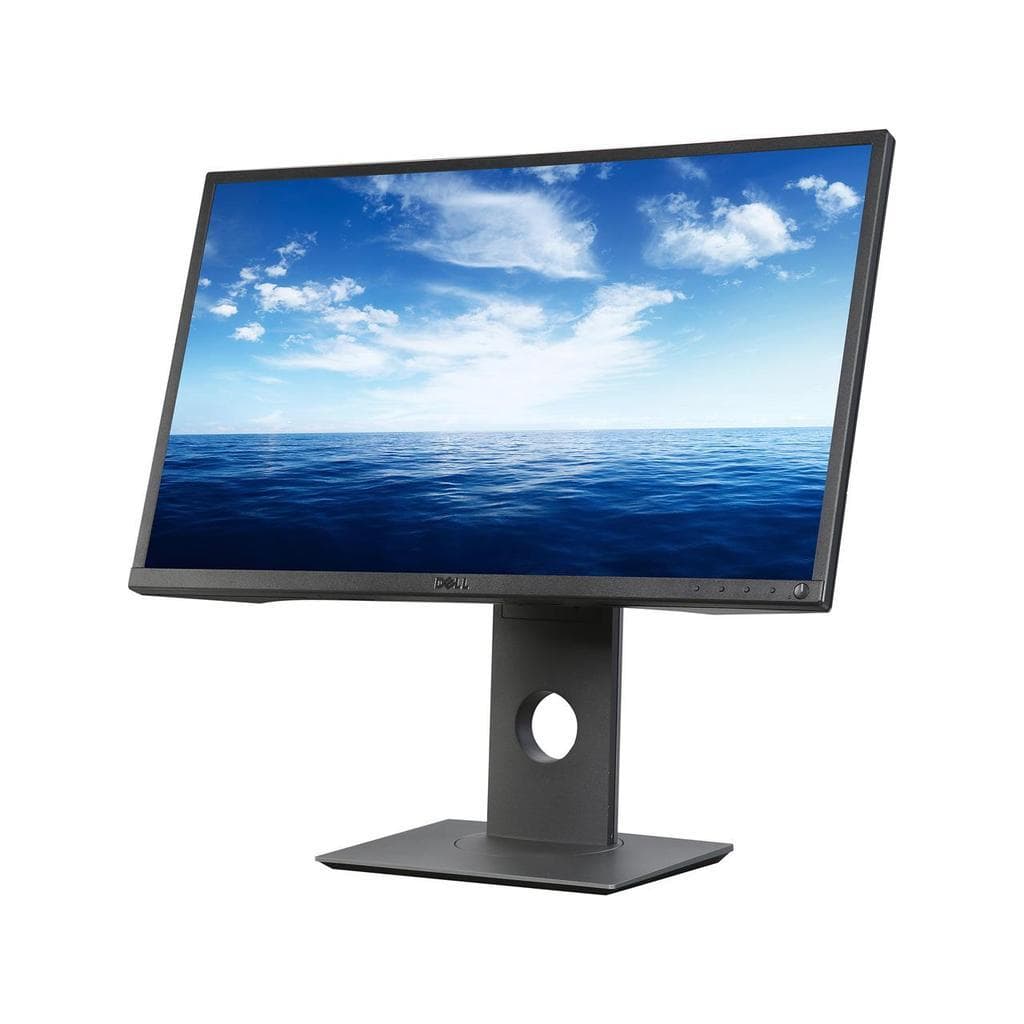 Bildschirm 24" LED FHD Dell Professional P2417H