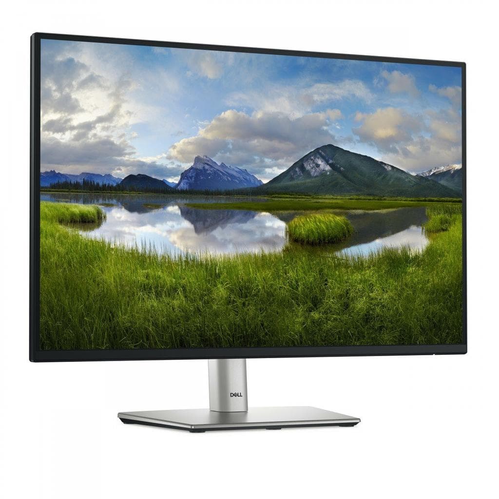 Bildschirm 24" LED Dell Pro 24 Plus P2425