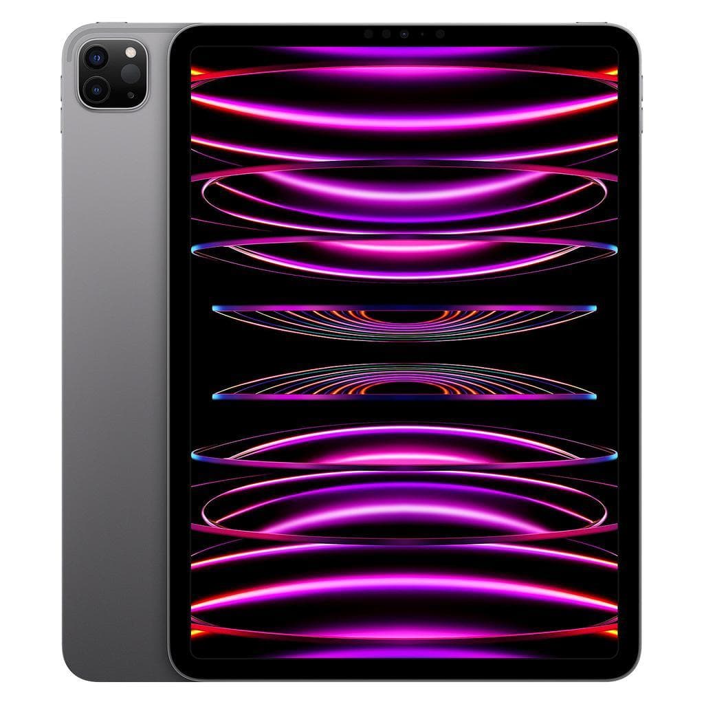 iPad Pro 11" (2022) 4. Generation 512 GB - WLAN - Space Grau