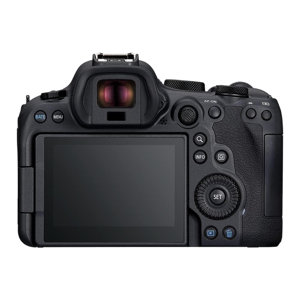 Spiegelreflex EOS R6 Mark II - Schwarz