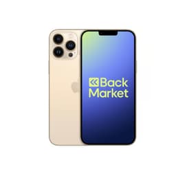 iPhone 13 Pro Max 1000GB - Gold - Ohne Vertrag