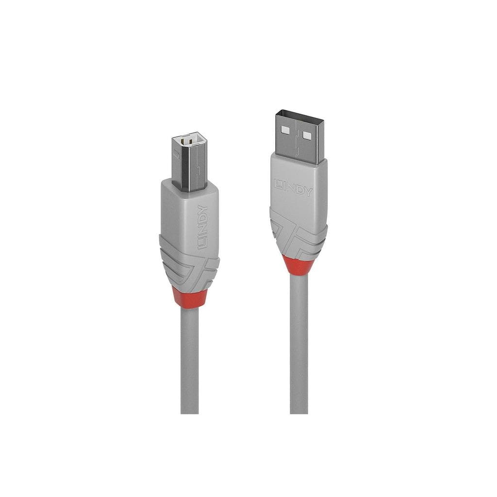 Lindy USB Type A Male - Type B Male Kabel
