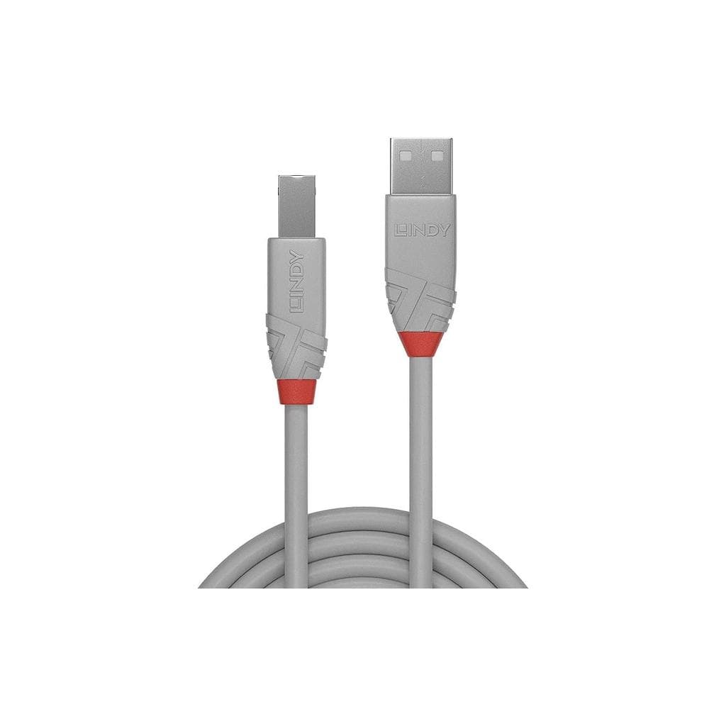 Lindy USB Type A Male - Type B Male Kabel
