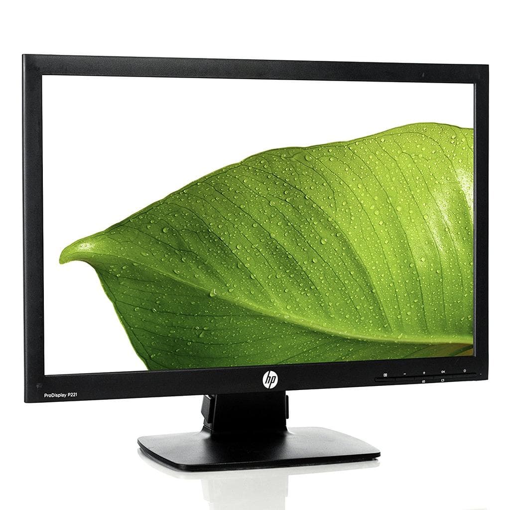 Bildschirm 21" LCD HP ProDisplay P221
