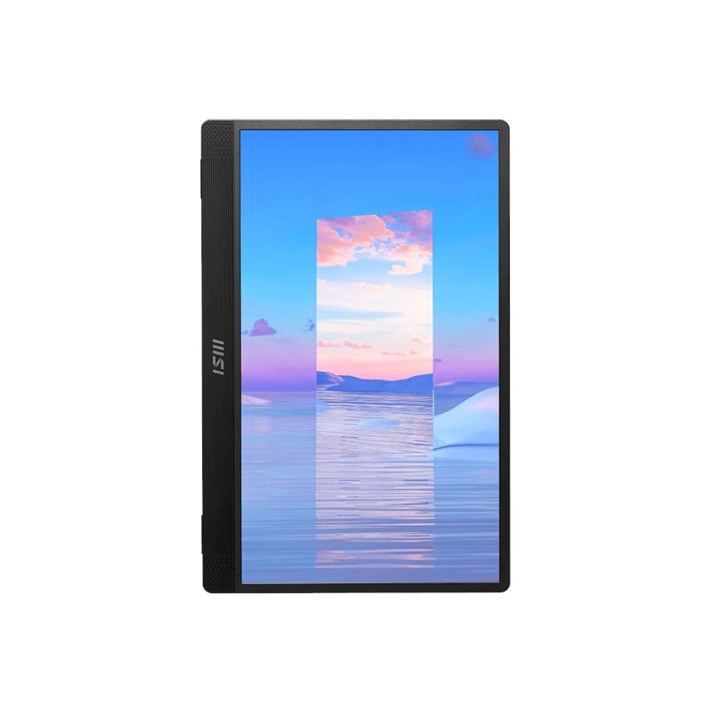 15.6-inch MSI Pro MP161 1920 x 1080 LED Monitor Black