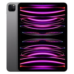 iPad Pro 11" (2022) 4th gen 1000 GB - Wi-Fi - Space Gray