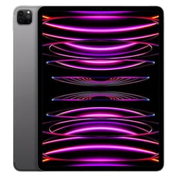 iPad Pro 12.9-inches (2022) 6th gen 1000 GB - Wi-Fi + 5G - Space Gray