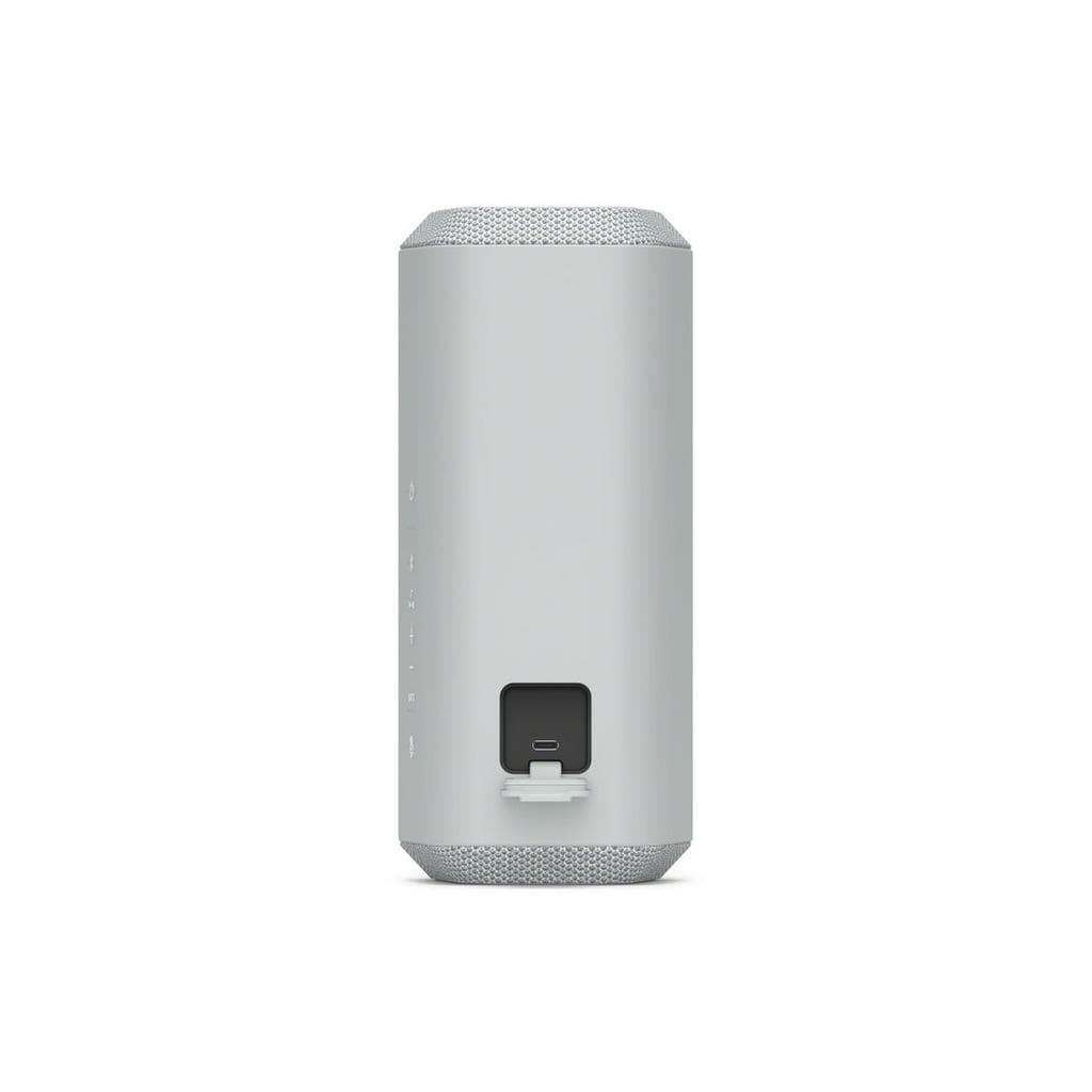 Sony SRS-XE300H Bluetooth speakers - Gray