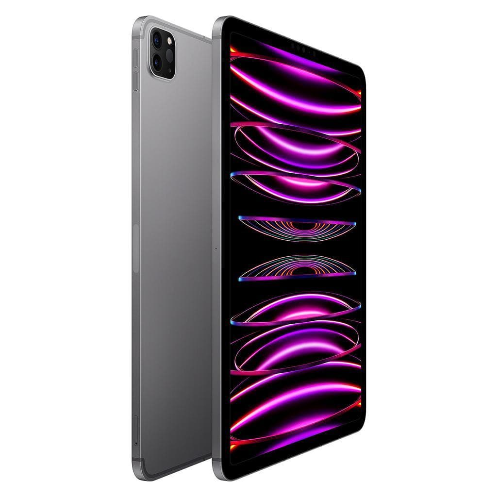 iPad Pro 11-inches (2022) 4th gen 128 GB - Wi-Fi + 5G - Space Gray