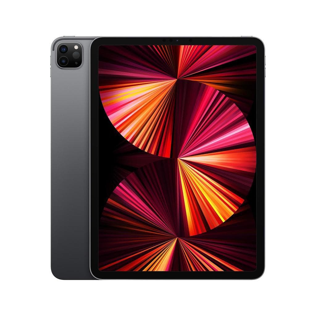 iPad Pro 11-inches (2021) 3rd gen 2000 GB - Wi-Fi - Space Gray