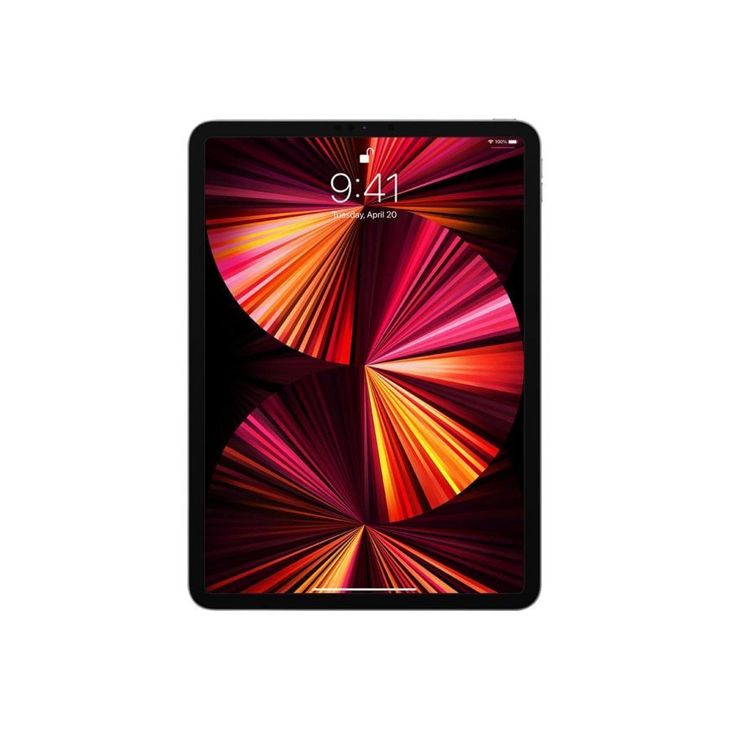 iPad Pro 11-inches (2021) 3rd gen 2000 GB - Wi-Fi - Space Gray