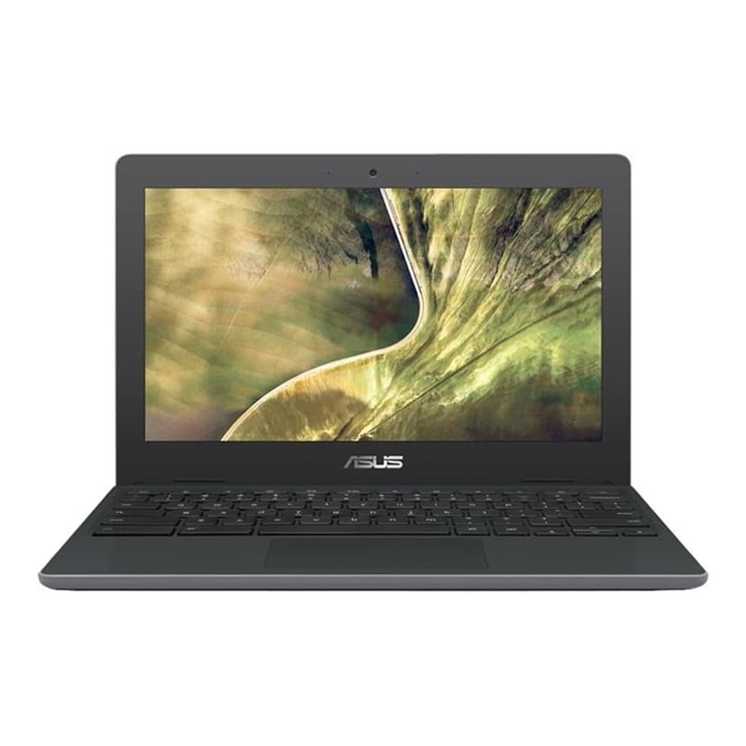Asus Chromebook C204MA