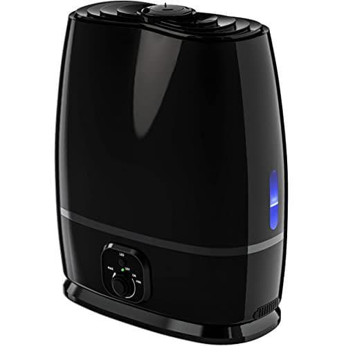 Everlasting Comfort Cool Mist Air Humidifier
