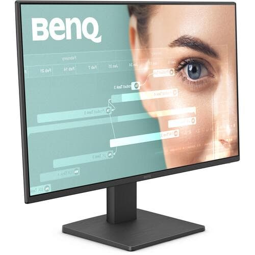 Benq 23-inch Monitor 1920 x 1080 LCD (GW2491)