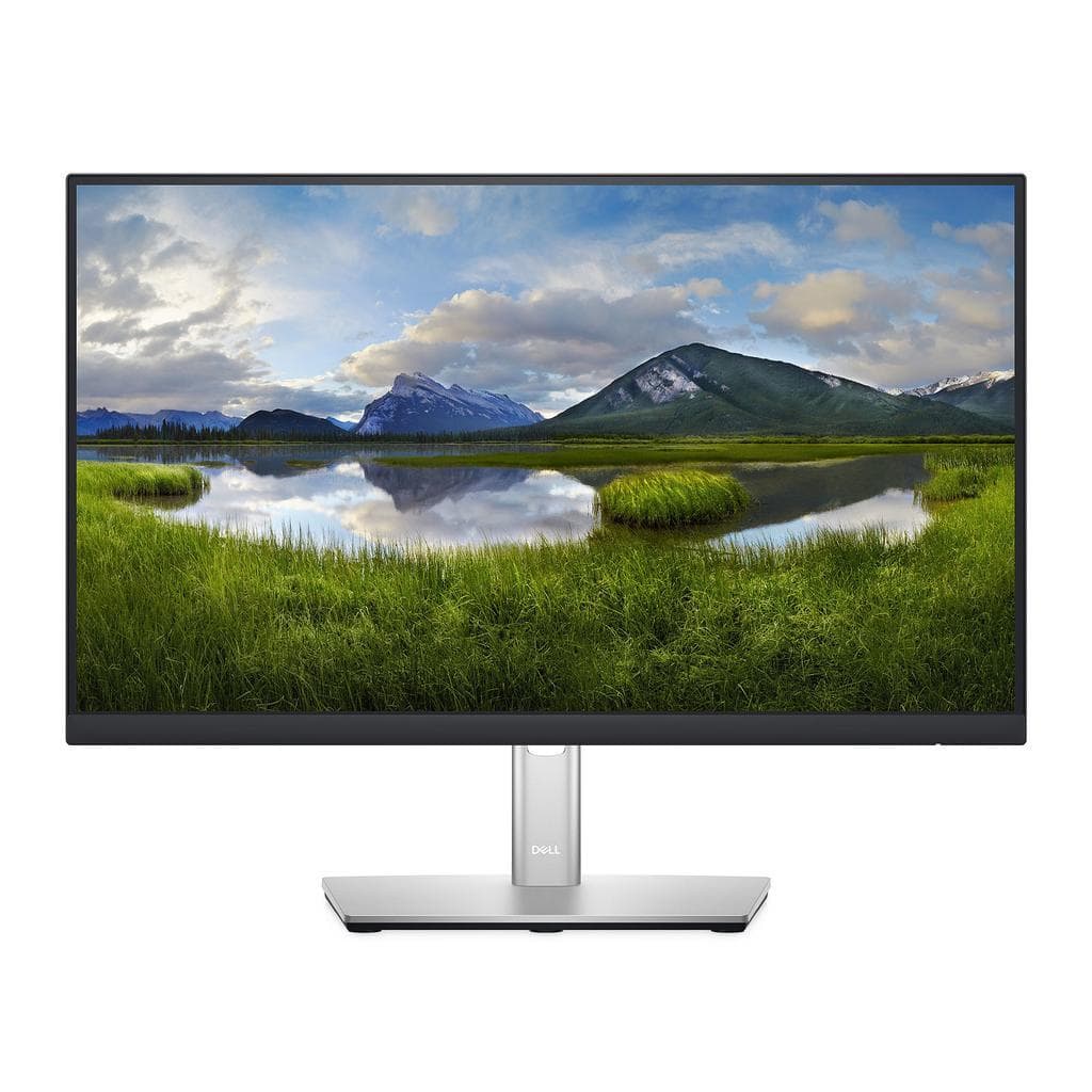 Dell 22-inch Monitor 1920 x 1080 LED (P2222H)