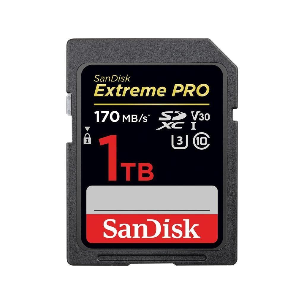 Sandisk SDSDXXY-1T00-GN4IN USB key