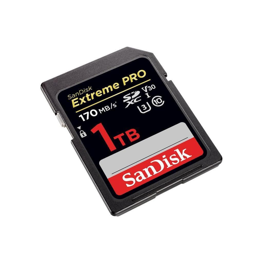 Sandisk SDSDXXY-1T00-GN4IN USB key