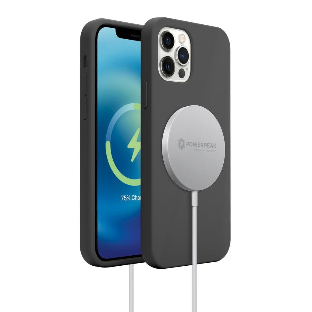 iPhone 12 Pro Max case - Silicone - Black