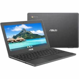 Asus Chromebook C204EE-YB02 Celeron 1.1 GHz 32 GB eMMC - 4 GB