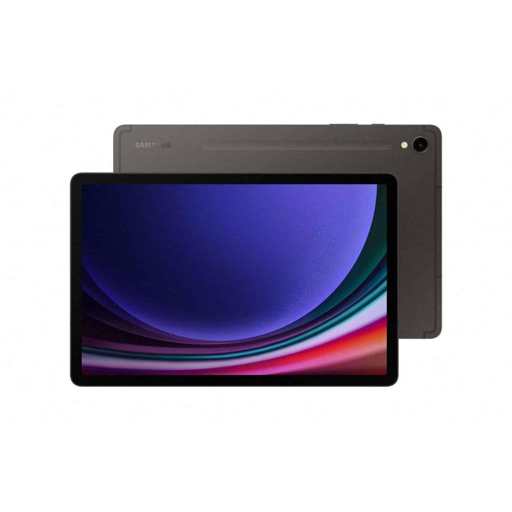 Galaxy Tab S9 Ultra 256GB - Gray - (Wi-Fi)