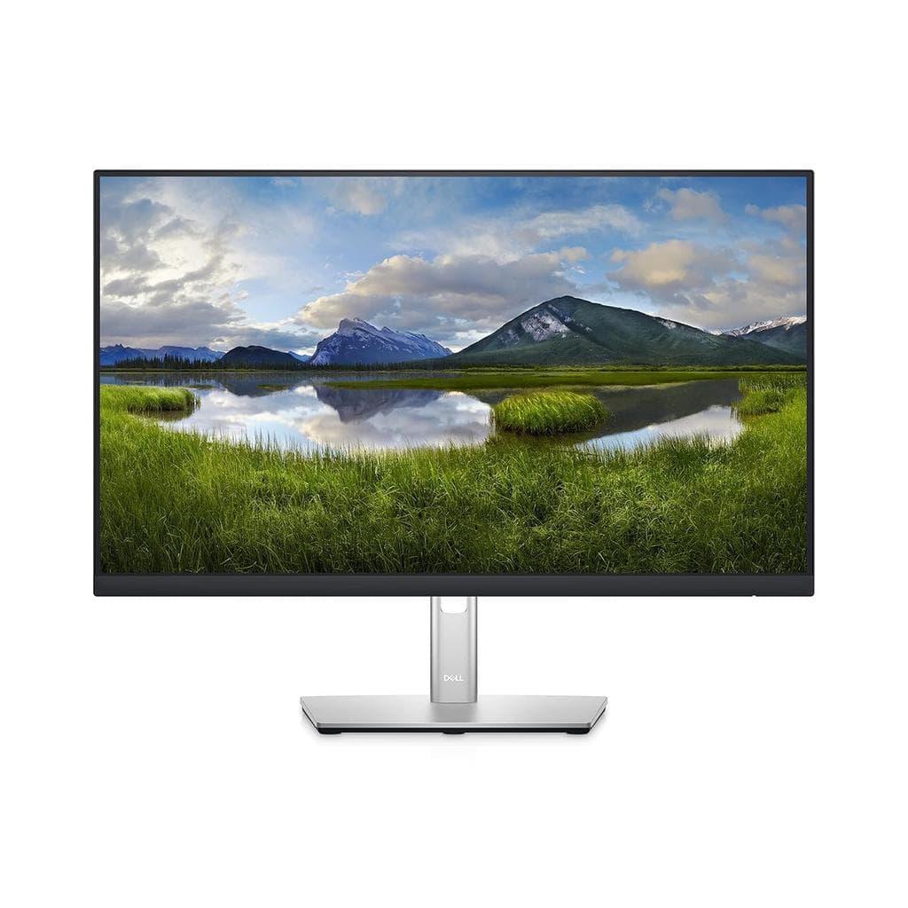 Dell 24-inch Monitor 1920 x 1080 LCD (P2422HE)