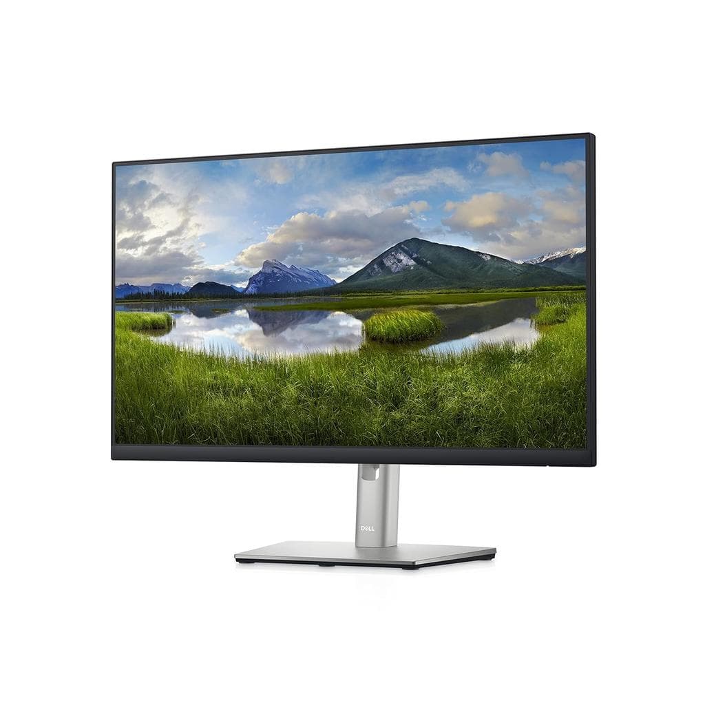 Dell 24-inch Monitor 1920 x 1080 LCD (P2422HE)