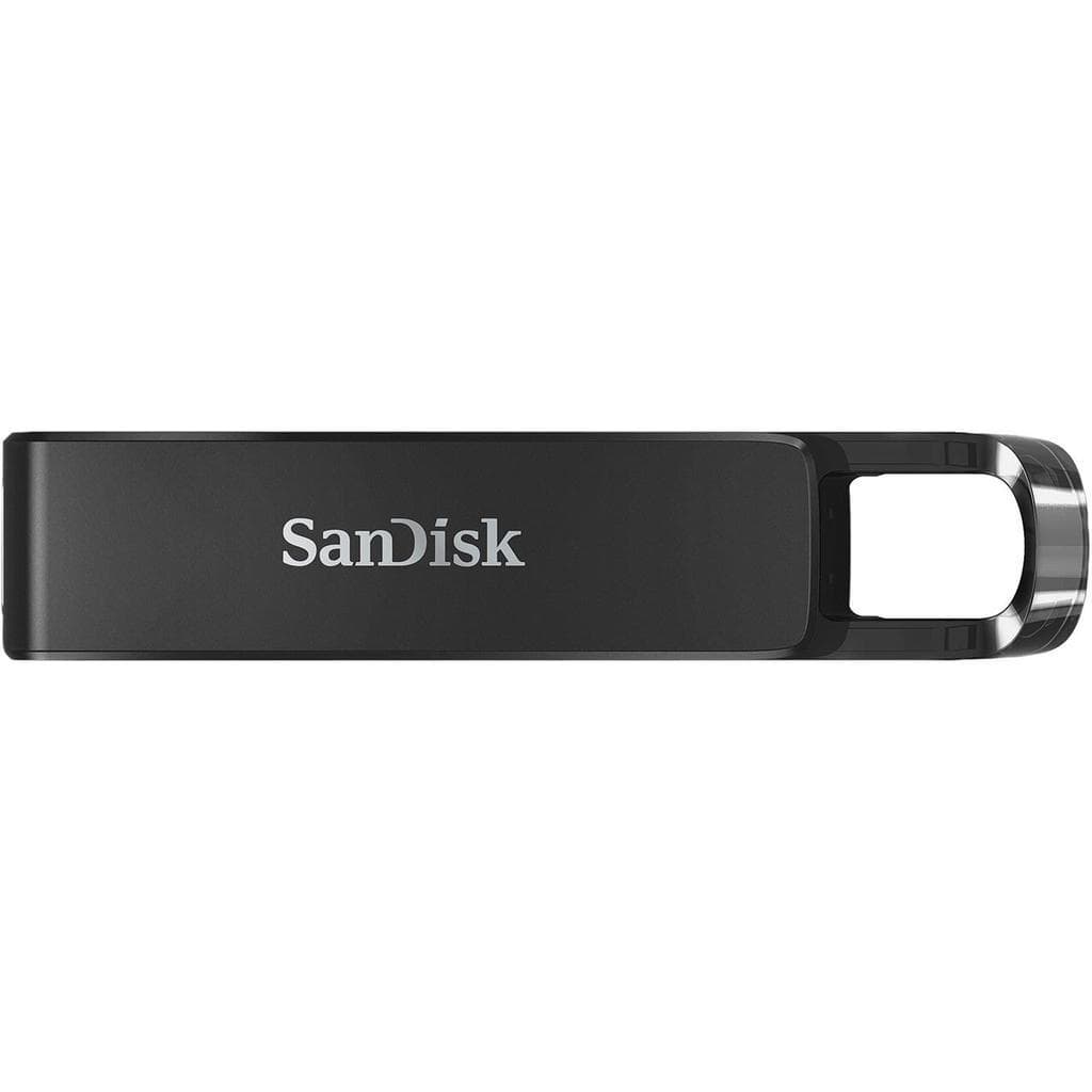 Sandisk SDCZ460-256G-G46 USB key
