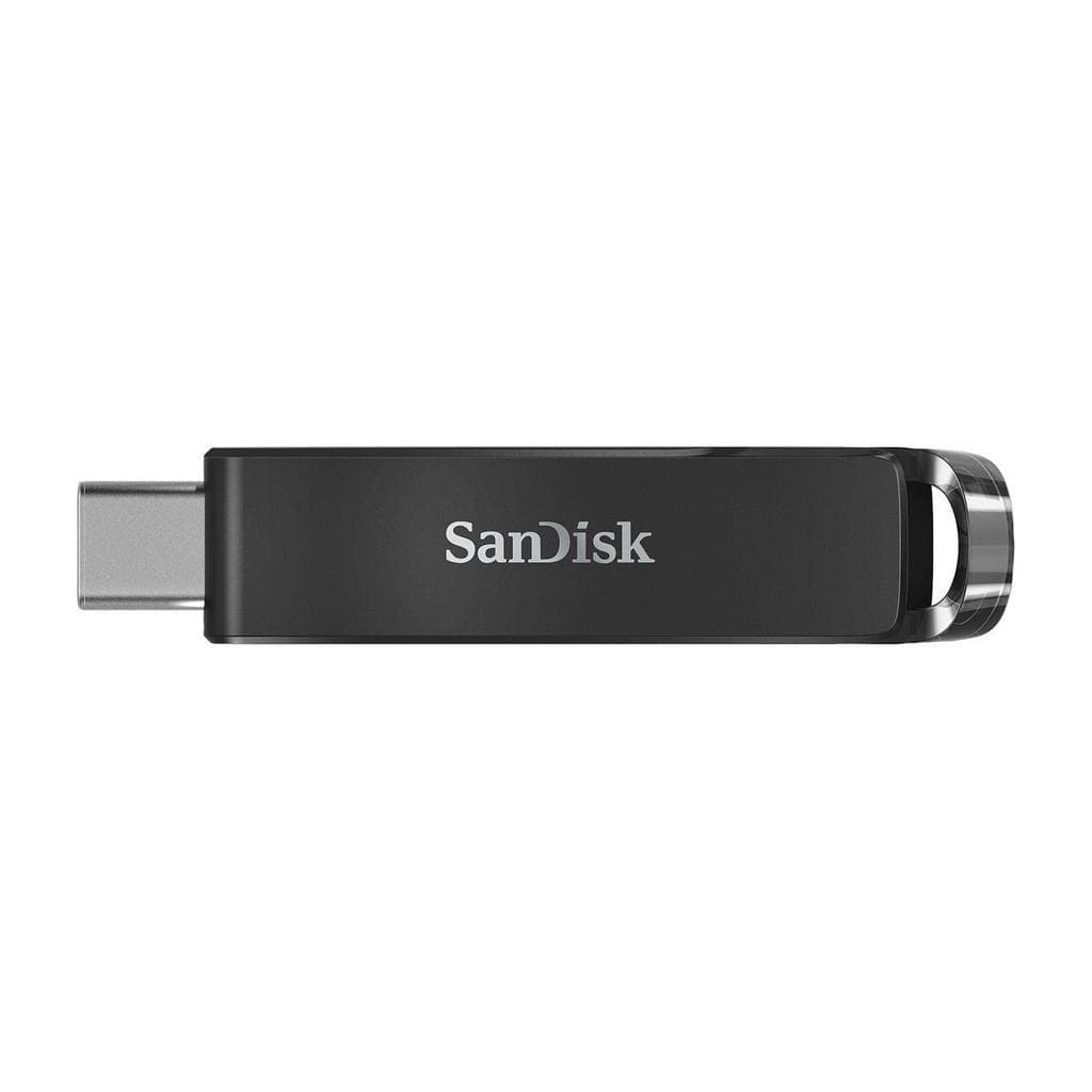 Sandisk SDCZ460-256G-G46 USB key