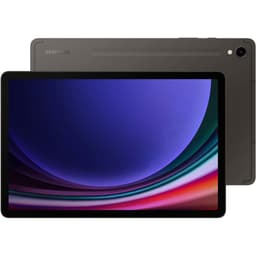 Galaxy Tab S9 256GB - Gray - (Wi-Fi)