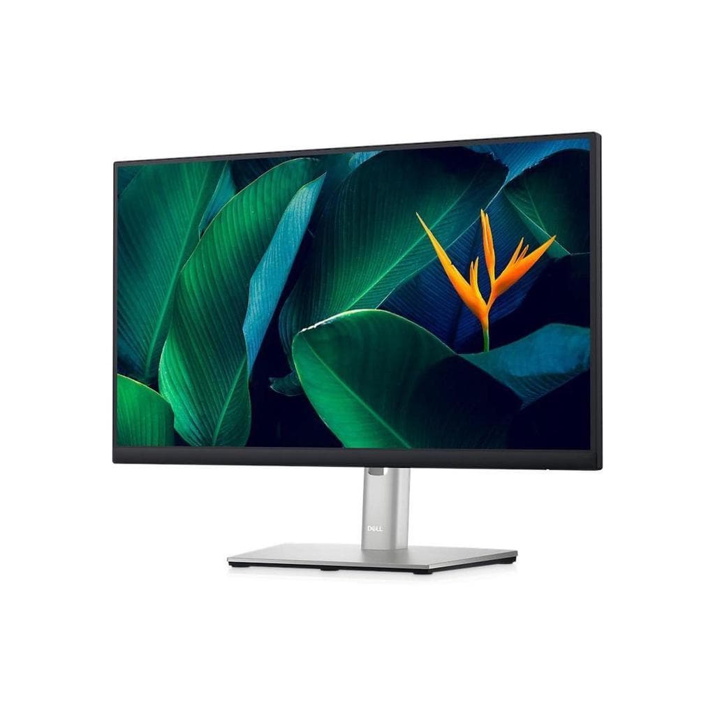 Dell 22-inch Monitor 1920 x 1080 LCD (P2223HC)