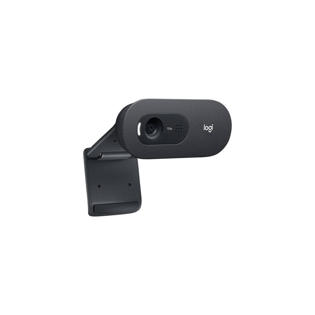 Logitech C505E Webcam