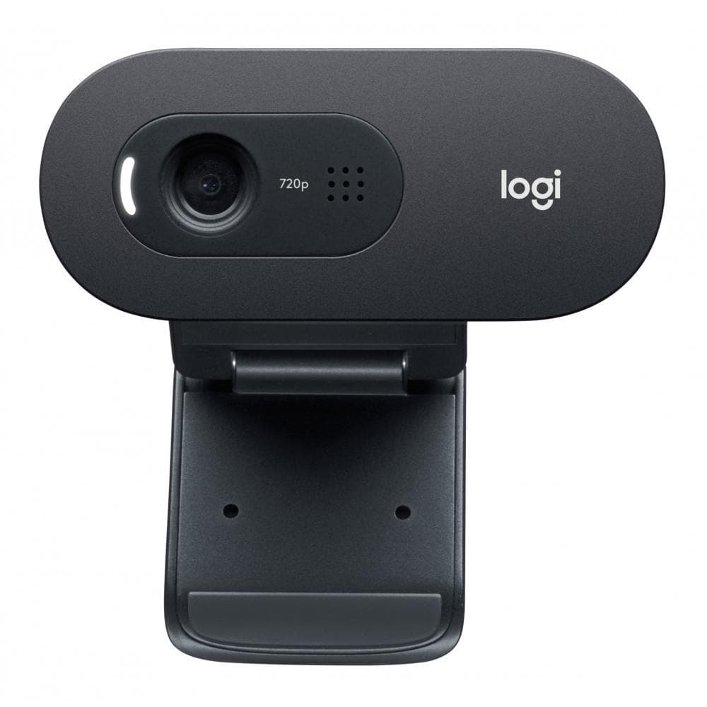 Logitech C505E Webcam