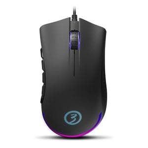 Souris Ozone Exon X90