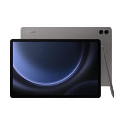 Galaxy Tab S9 FE+ 256GB - Gris - WiFi